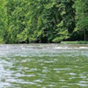 Meet your Posher, Raymond